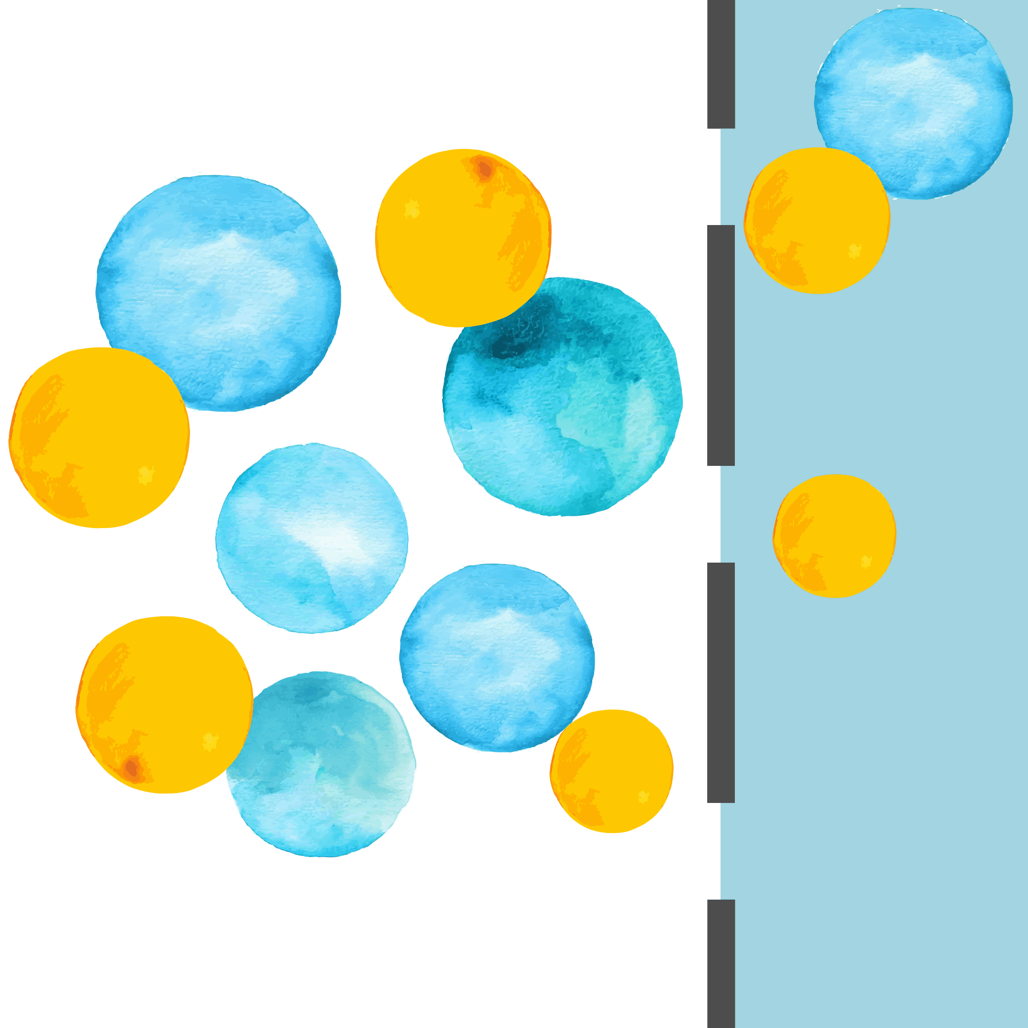 Liposomal Emulsion