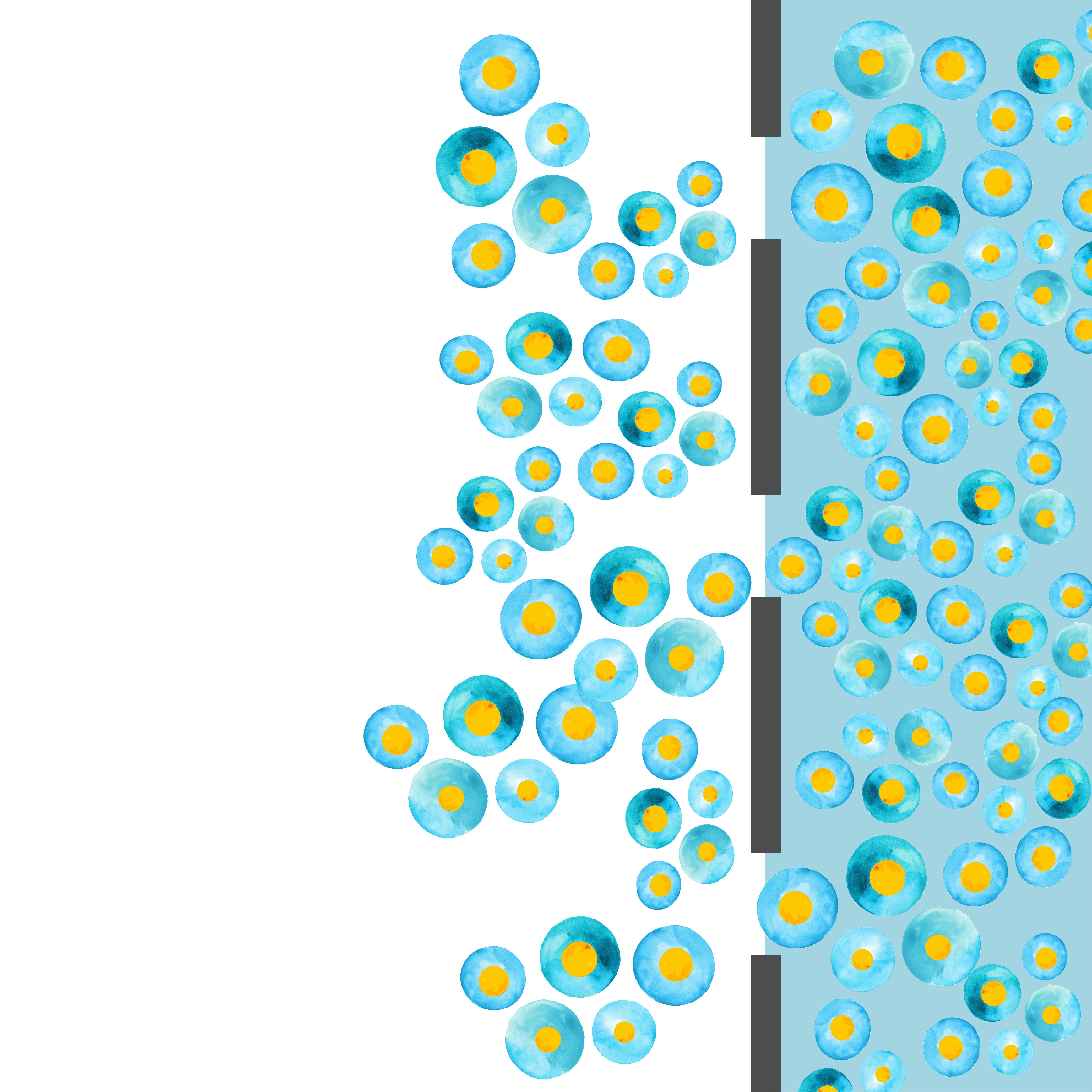 Nanoemulsion